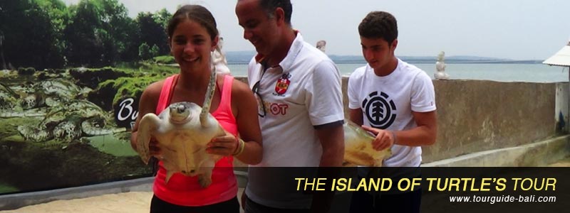 La Visita A La Isla De Las Tortugas