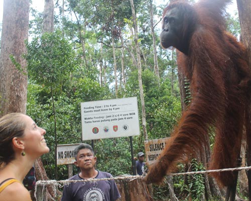 borneo indonesia tour packages