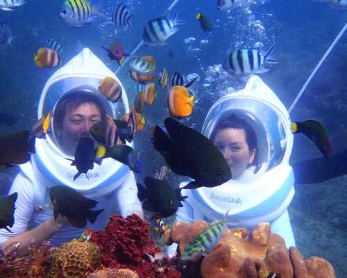 esnorkeling o el buceo
