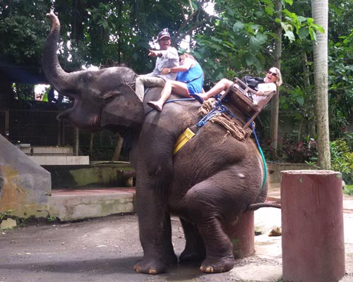 BALI RAFTING & MONTAR ELEFANTES