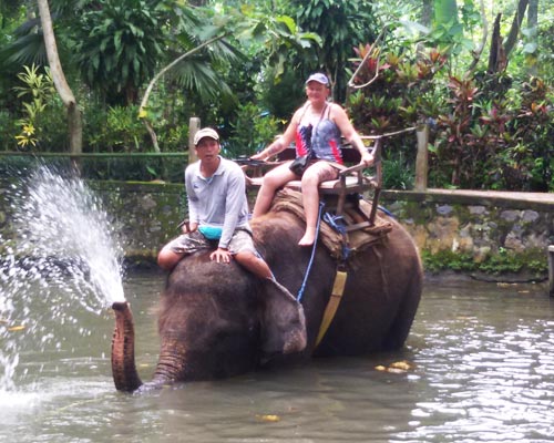 BALI RAFTING & MONTAR ELEFANTES