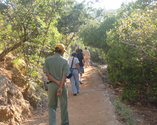 komodo indonesia tour packages