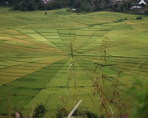 komodo indonesia tour packages