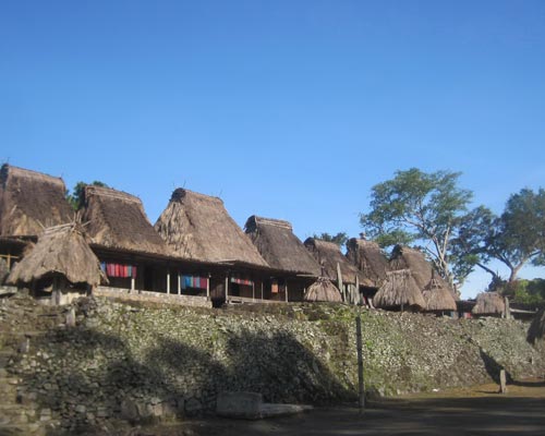 komodo indonesia tour packages