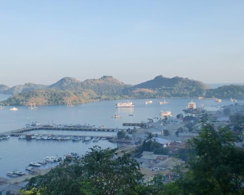 komodo indonesia tour packages