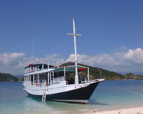 komodo indonesia tour packages