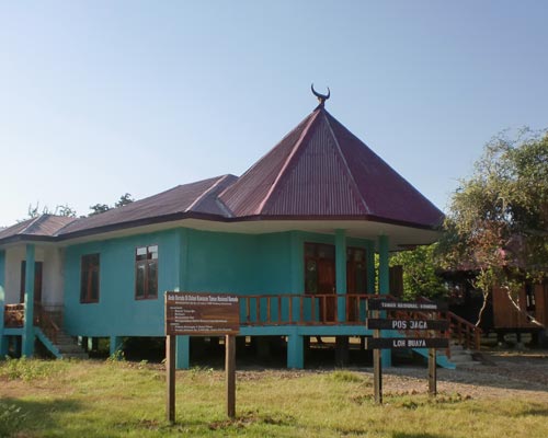 komodo indonesia tour packages