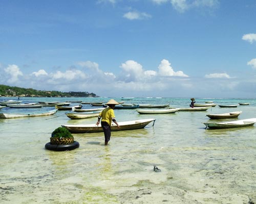 lembongan ceningan cruise, bali sunset dinner cruise, bali hai cruise