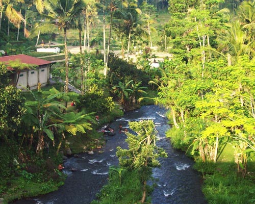 BALI RAFTING & MONTAR ELEFANTES