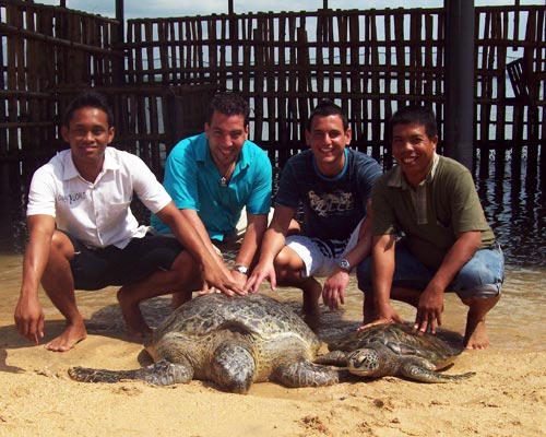 La Visita A La Isla De Las Tortugas
